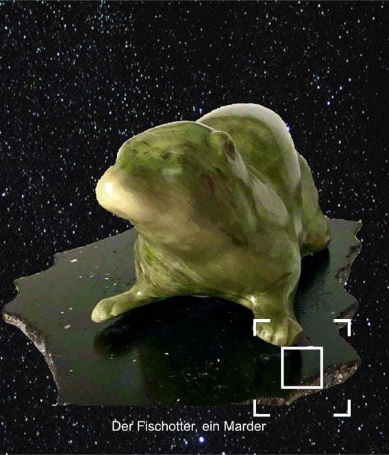 Der Fischotter, ein Marder
