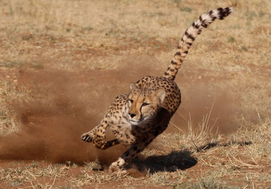 Bild Winterspaziergang